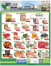 skyland-food-mart - Skyland Food Mart flyer valid from 08-22 - 08-28