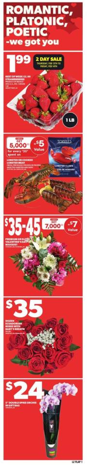 zehrs - Zehrs flyer valid from 02-13 - 02-19