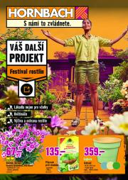 hornbach - Leták HORNBACH - Festival rostlin od 11.06. do 25.06.