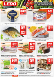 ledo - LEDO-Prospekt gültig vom 03.09. bis 13.09.