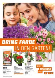 obi - Obi - Bring Farbe in den Garten-Prospekt gültig von 04.05. bis 31.05.