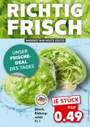 kaufland - Kaufland - Richtig Frisch-Prospekt gültig vom 22.08. bis 22.08.