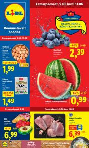 lidl - Lidl kliendileht - Kliendileht (9.06 - 15.06.2025)