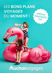 auchan - Catalogue Auchan voyages - Les bons plans voyages du moment ! valable dès 01/05 - 31/05