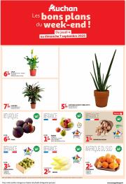 auchan - Catalogue Auchan - Les bons plans du week-end dans votre hyper ! valable du 04/09 au 07/09