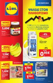 lidl - Lidl φυλλάδιο έγκυρο από 09/01 - 15/01