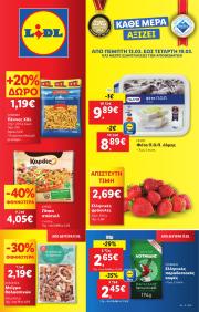 lidl - Lidl φυλλάδιο έγκυρο από 13/03 - 19/03