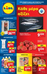 lidl - Lidl φυλλάδιο έγκυρο από 08/05 - 14/05