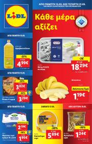 lidl - Lidl φυλλάδιο έγκυρο από 15/05 - 21/05