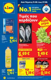 lidl - Lidl φυλλάδιο έγκυρο από 21/08 - 27/08