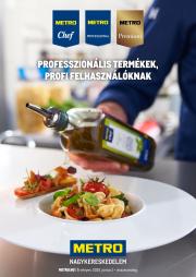 metro - Metro - Professzionális termékek akciós újság, érvényes 06.01. - 06.30.