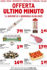 metro - Volantino Metro - Offerte freschissimi valido dal 12/06 al 15/06