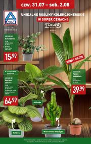 aldi - Gazetka ALDI - Kwiaty - ważna od 31.07. do 02.08.