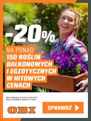 obi - OBI - Rosliny egzotyczne -20% gazetka ważna od 24.04. - 06.05.