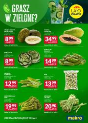 makro - Gazetka Makro - Ulotka festiwal kolorów ważna od 21.07. - 30.07.