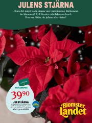 blomster-landet - Blomster Landet-reklambladet är giltigt från 25/11 - 01/12