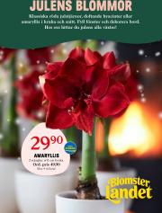 blomster-landet - Blomster Landet-reklambladet är giltigt från 02/12 - 08/12