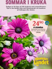 blomster-landet - Blomster Landet-reklambladet giltigt från 05/05 - 11/05