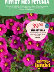 blomster-landet - Blomster Landet-reklambladet giltigt från 12/05 - 18/05