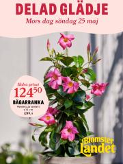 blomster-landet - Blomster Landet-reklambladet giltigt från 19/05 - 25/05