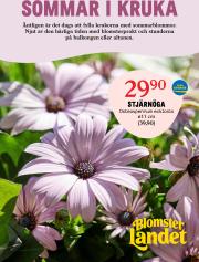 blomster-landet - Blomster Landet-reklambladet giltigt från 26/05 - 01/06