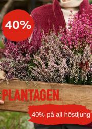 plantagen - Plantagen - erbjudanden från 21/10/2024 - 03/11/2024