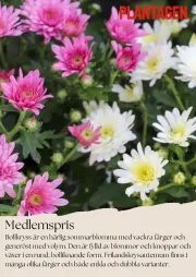 plantagen - Plantagen - erbjudanden från 01/08/2025