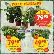 eko - EKO - erbjudanden från 18/08/2025