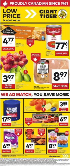 giant-tiger - Giant Tiger Flyer Valid From 01-21 to 01-27