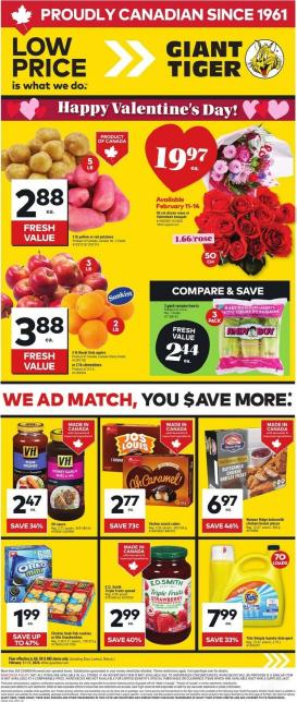 giant-tiger - Giant Tiger Flyer Valid From 2026-02-11 to 2026-02-17