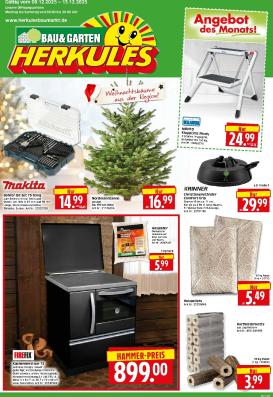 herkules - Herkules - Bau & Garten-Prospekt gültig vom 08.12. bis 13.12.