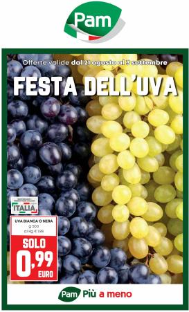 pam-retail-pro - Volantino Pam Retail Pro valido dal 21/08 al 03/09
