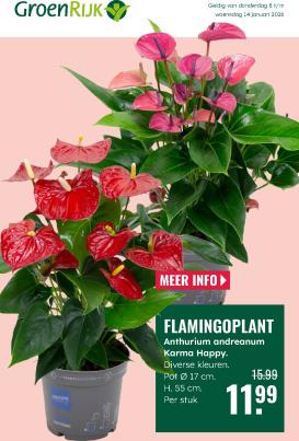 groenrijk - De GroenRijk folder geldig vanaf 08-01 t/m 14-01