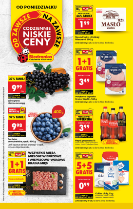 biedronka - Nowa gazetka Biedronka ważna od 20.07.2026 do 25.07.2026
