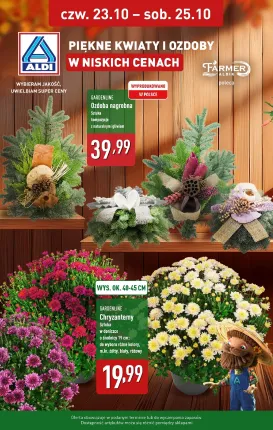 aldi - Gazetka ALDI - Piękne kwiaty i ozdoby - ważna od 23.10. do 25.10.