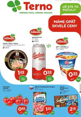 terno - Leták Terno platný od 15.01. do 21.01.