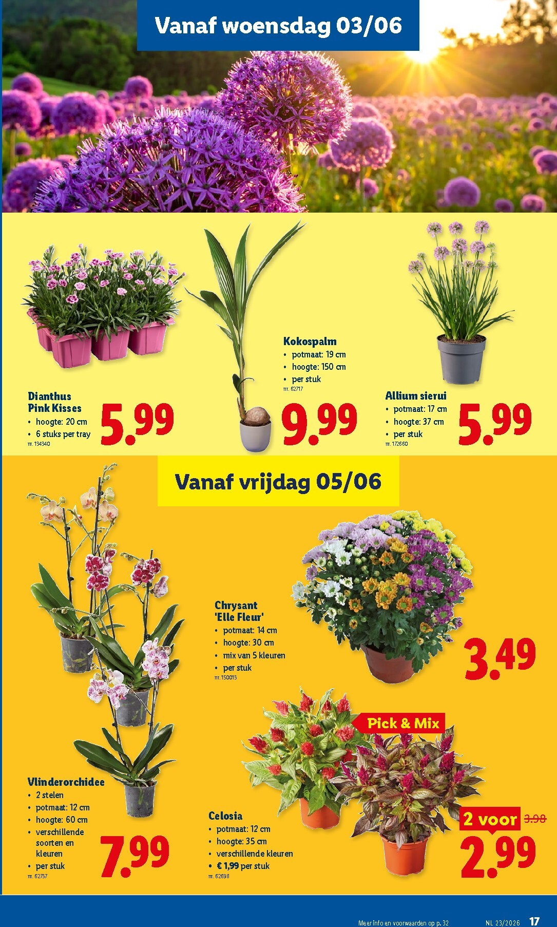 lidl - Lidl folder voor volgende week van maandag 01/06/2026 tot zaterdag 06/06/2026 - page: 17