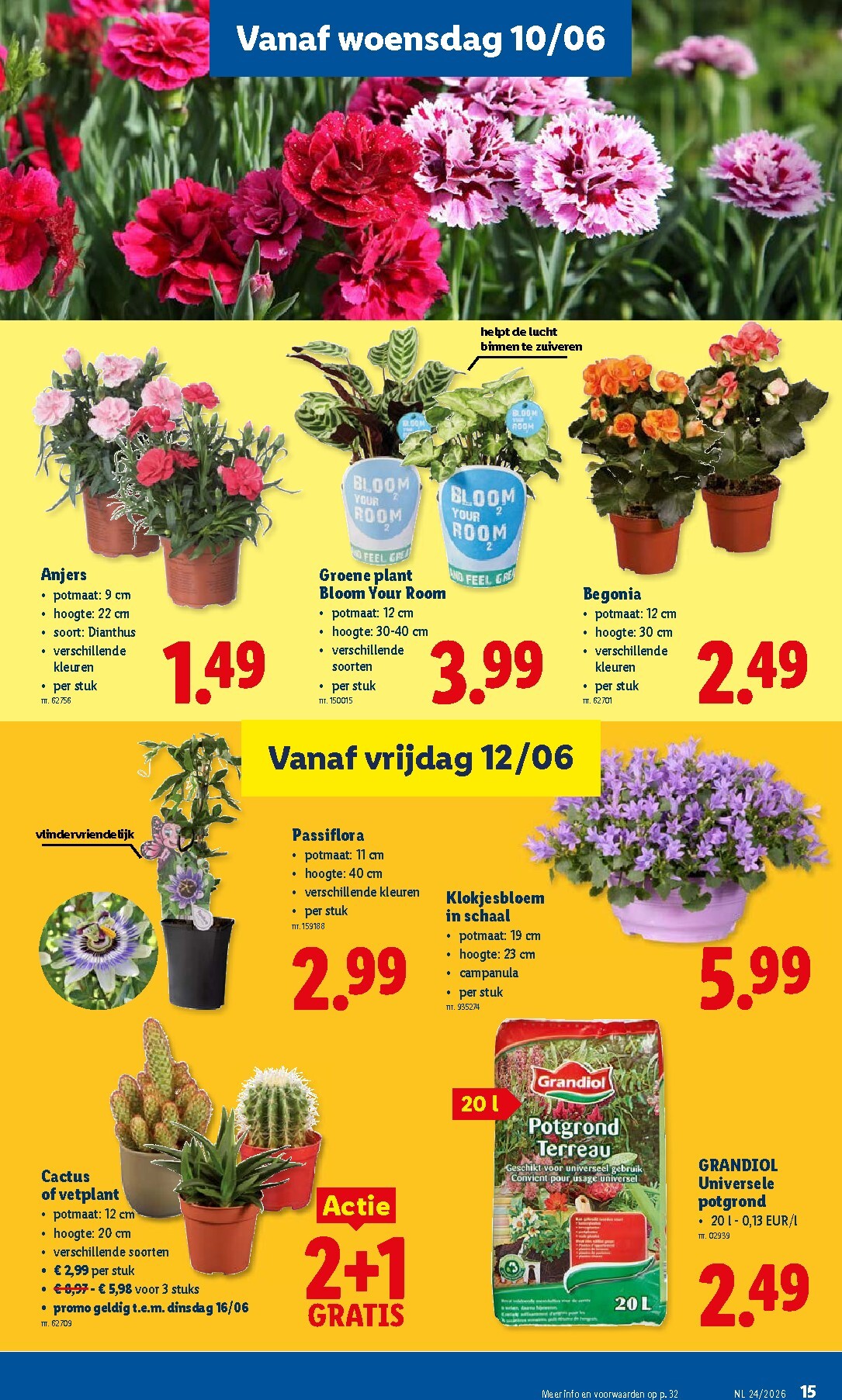 lidl - Lidl folder voor volgende week van maandag 08/06/2026 tot zaterdag 13/06/2026 - page: 15