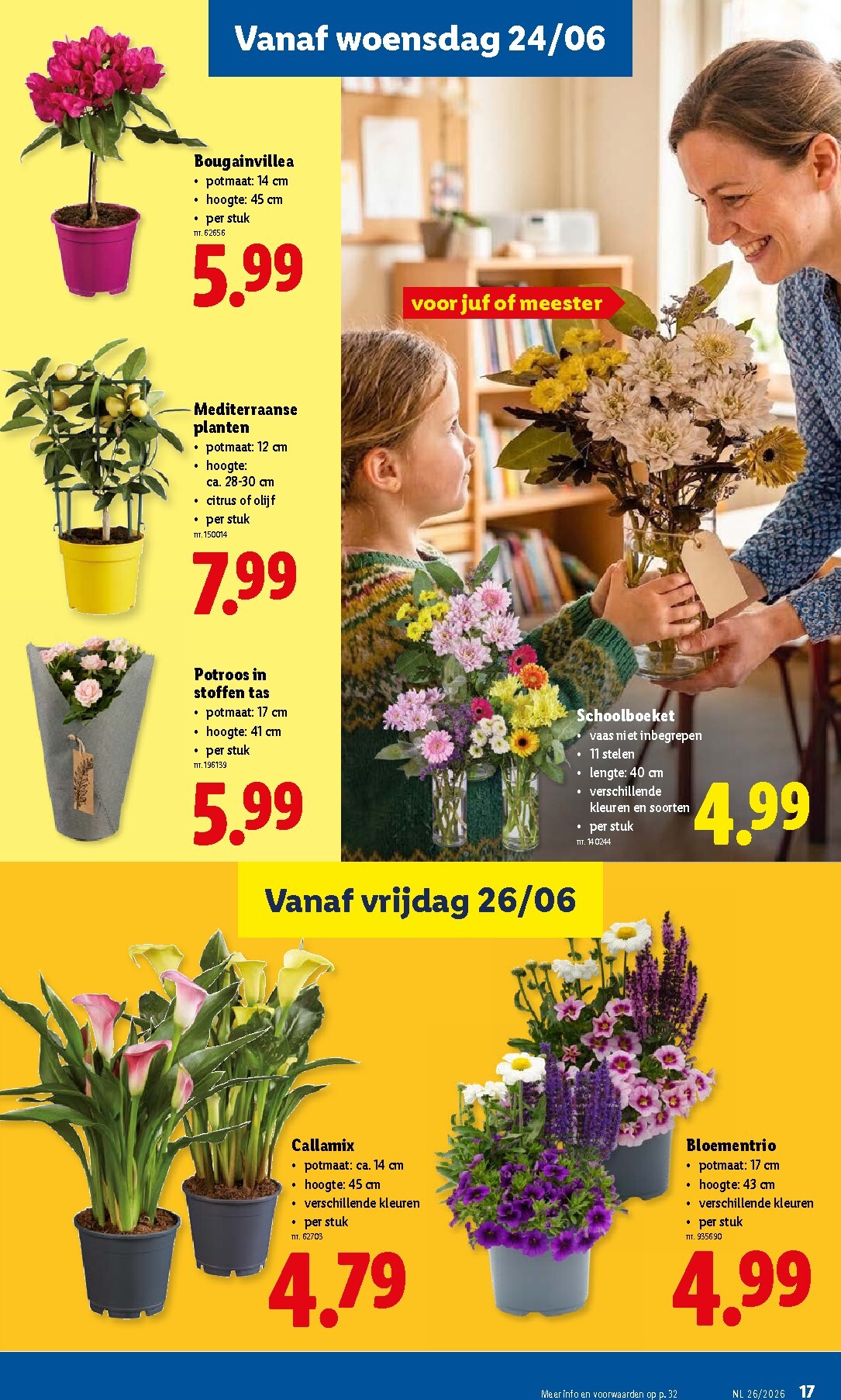 lidl - Lidl folder voor volgende week van maandag 22/06/2026 tot zaterdag 27/06/2026 - page: 17
