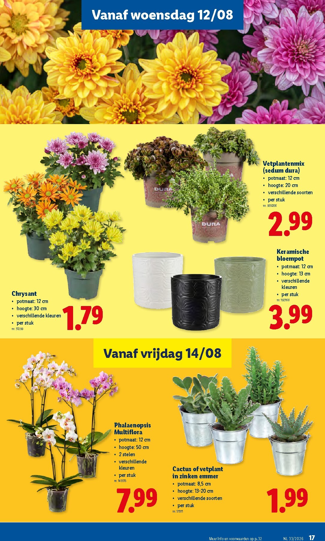 lidl - Lidl folder voor volgende week van maandag 10/08/2026 tot vrijdag 14/08/2026 - page: 17