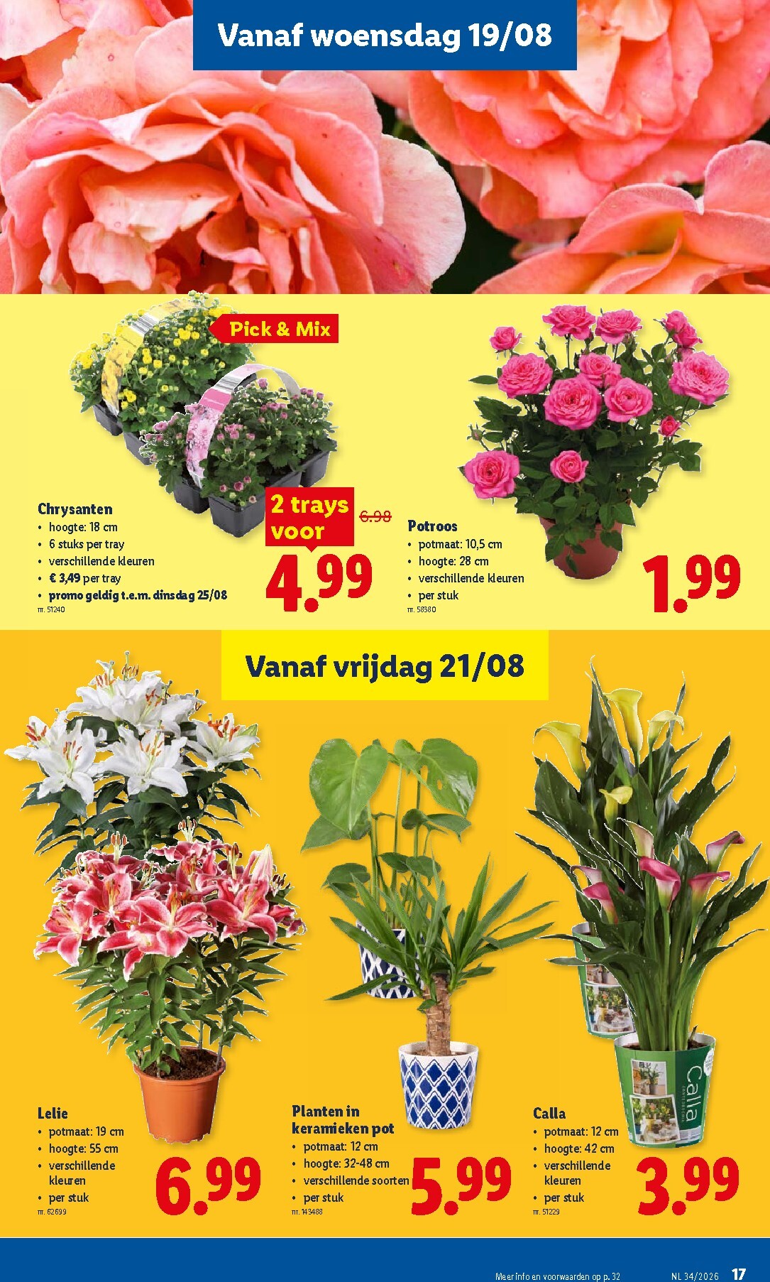 lidl - Lidl folder voor volgende week van maandag 17/08/2026 tot zaterdag 22/08/2026 - page: 17