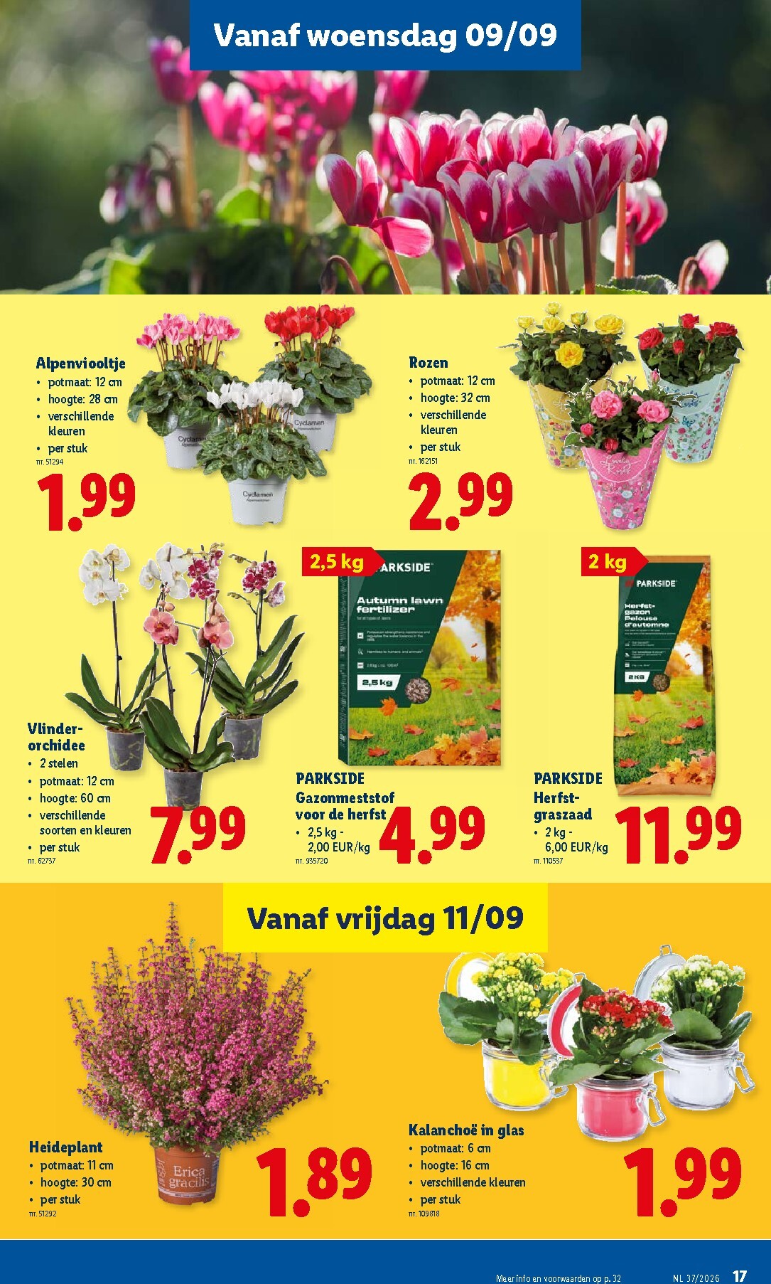 lidl - Lidl folder voor volgende week van maandag 07/09/2026 tot zaterdag 12/09/2026 - page: 17