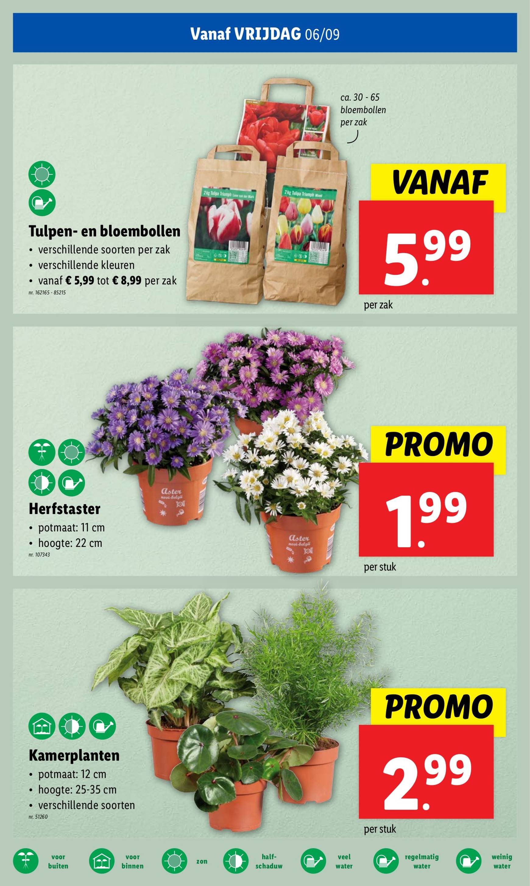 lidl - Lidl folder huidig 04.09. - 10.09. - page: 22