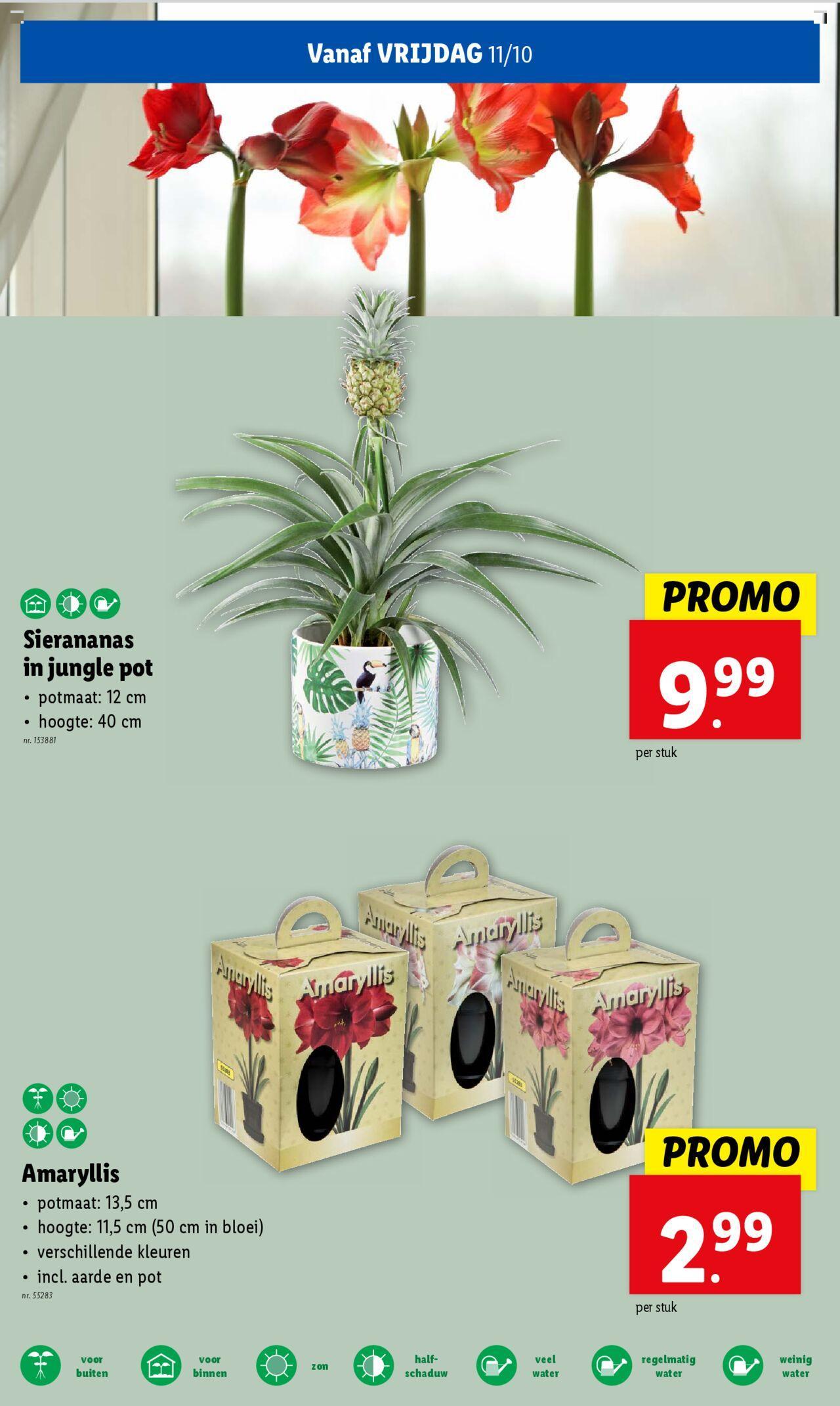 lidl - SUPERHERO PROMO 09/10/2024 t/m 15/10/2024 - page: 25