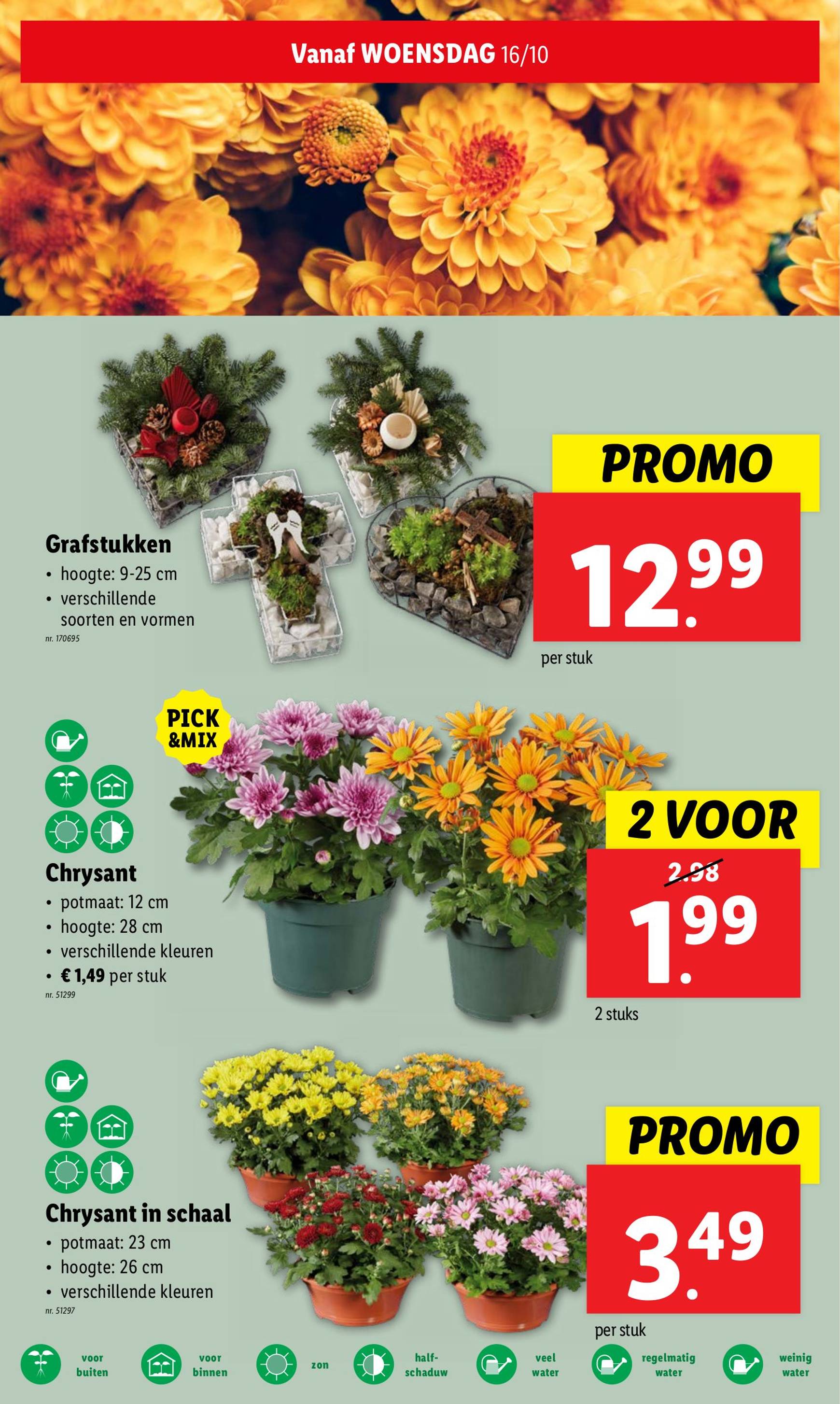 lidl - Lidl folder geldig vanaf 16.10. - 22.10. - page: 17