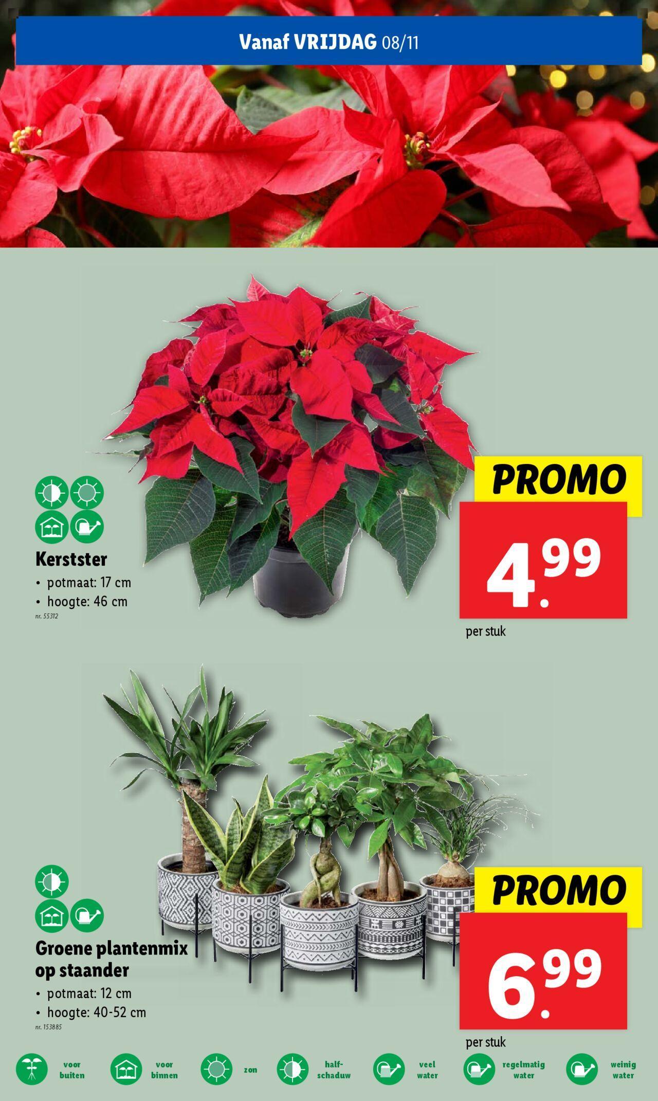 lidl - Lidl folder week 45 06/11/2024 t/m 12/11/2024 - page: 25