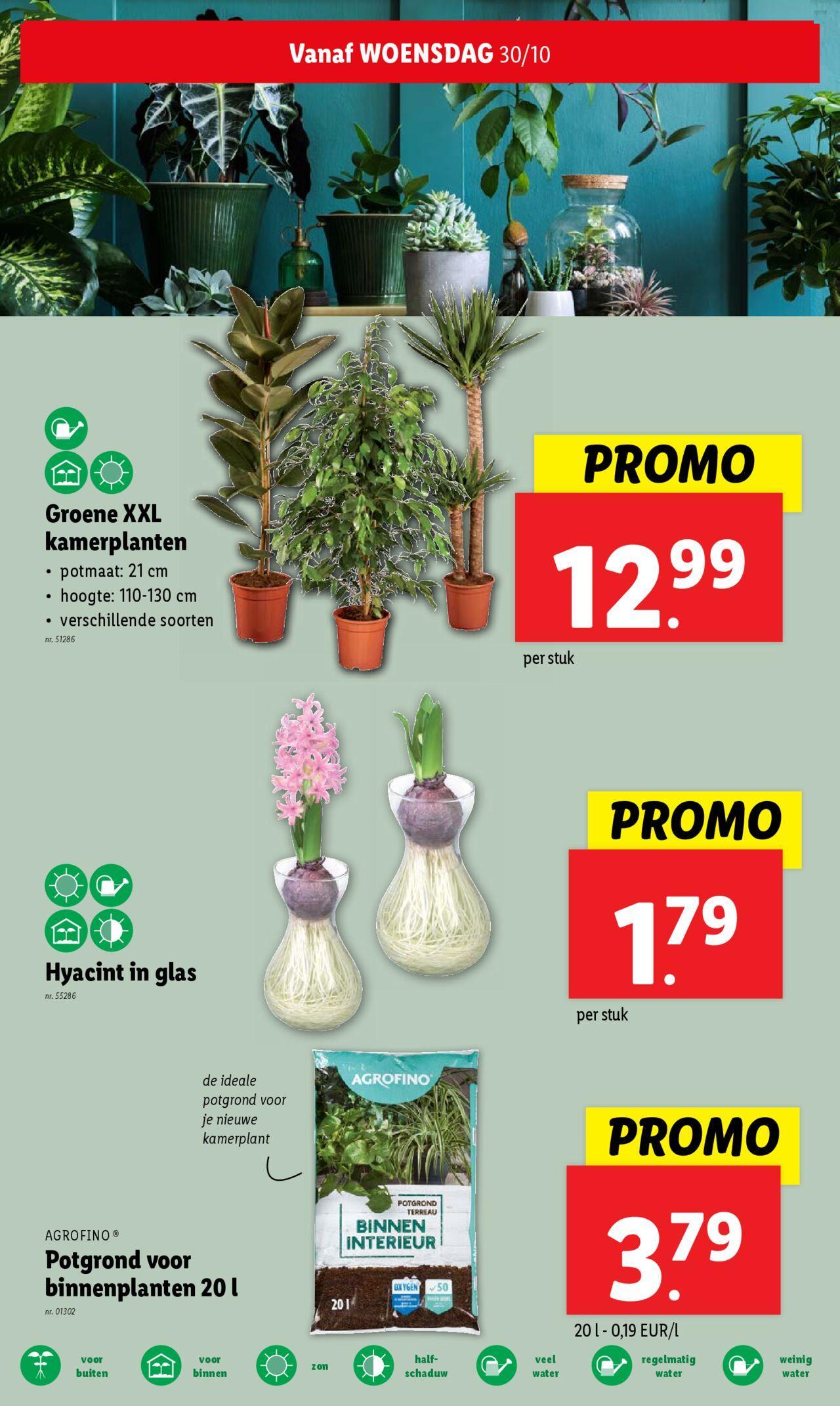 lidl - Lidl folder week 44 30/10/2024 t/m 05/11/2024 - page: 22