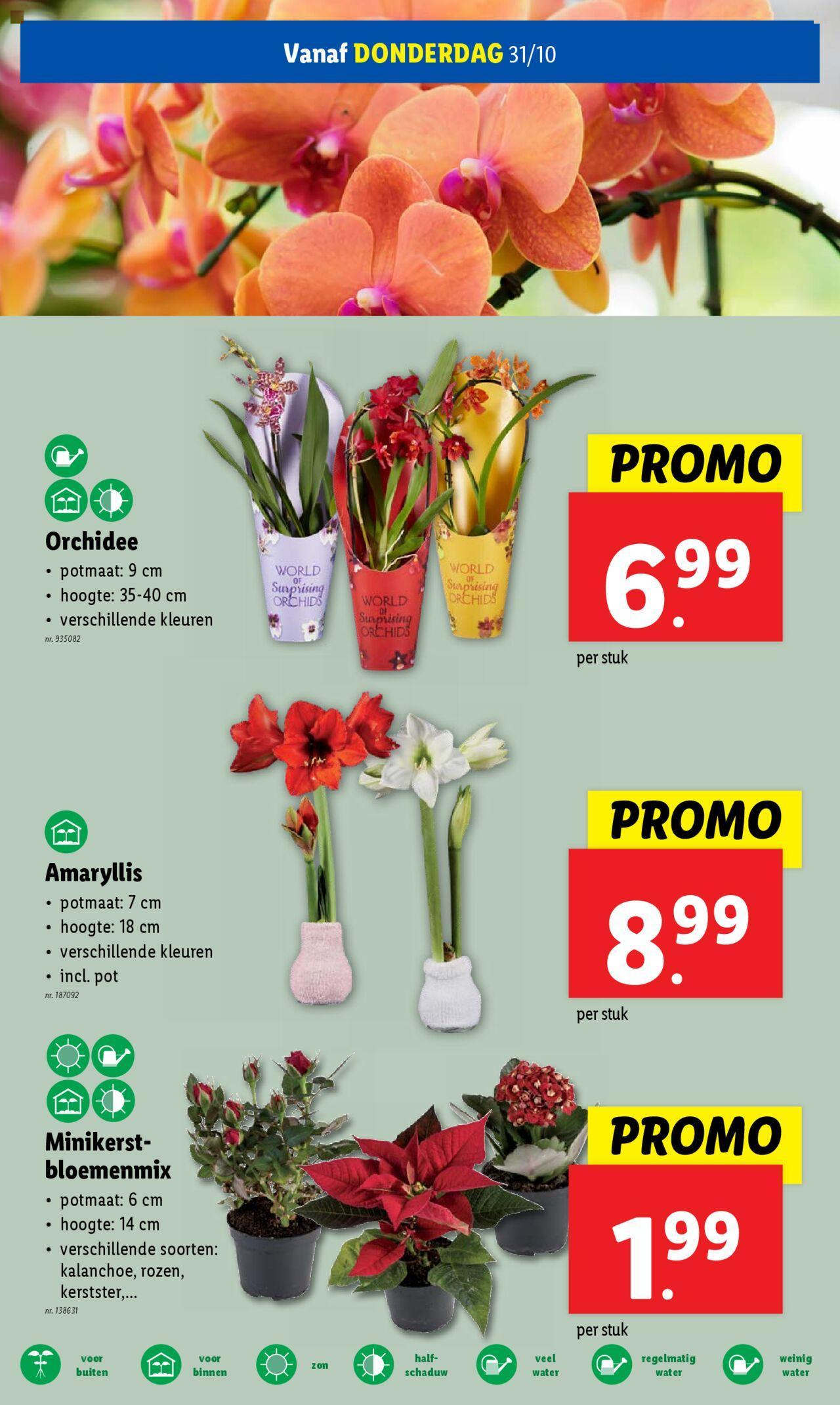 lidl - Lidl folder week 44 30/10/2024 t/m 05/11/2024 - page: 23