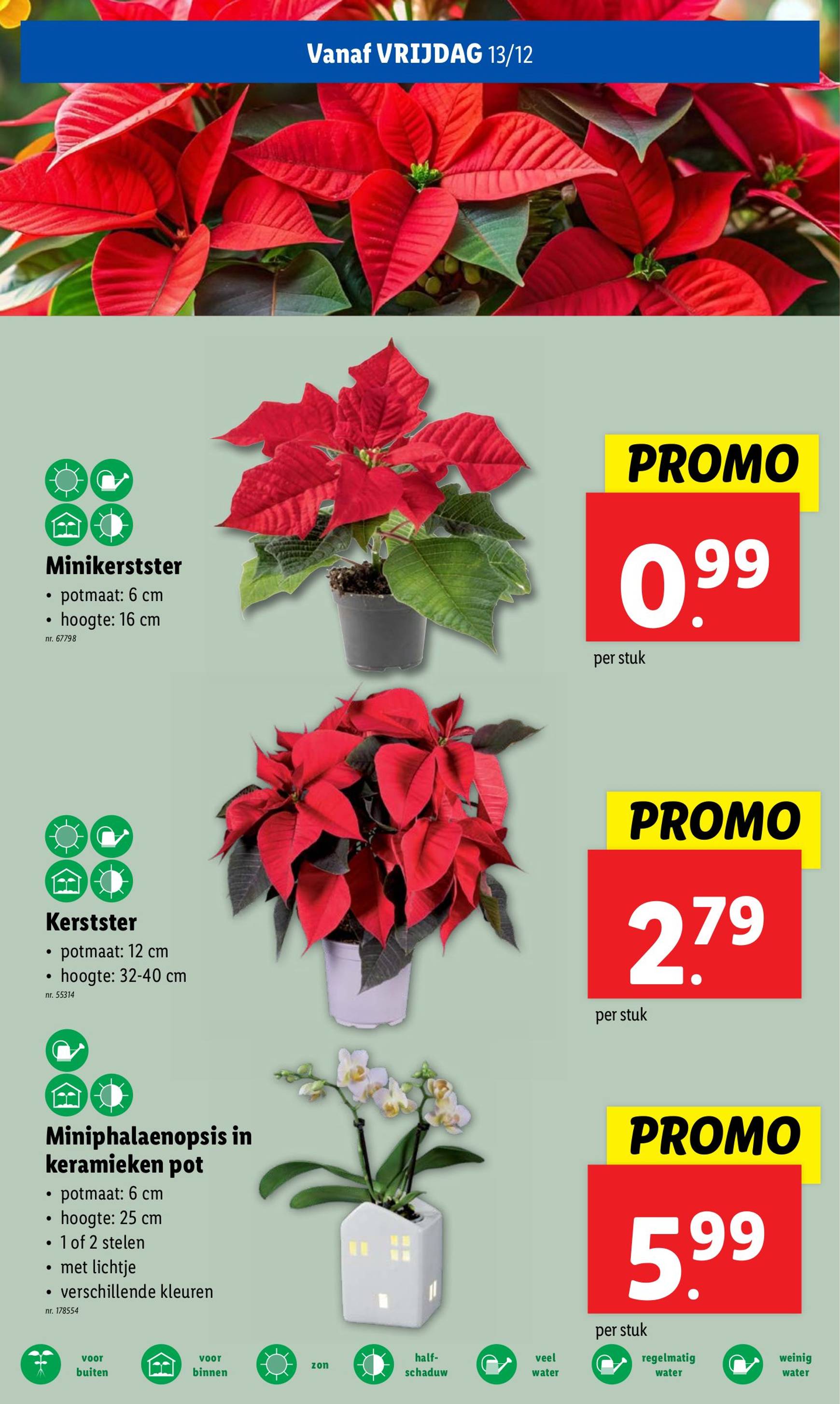 lidl - Lidl folder geldig vanaf 11/12 - 17/12 - page: 37