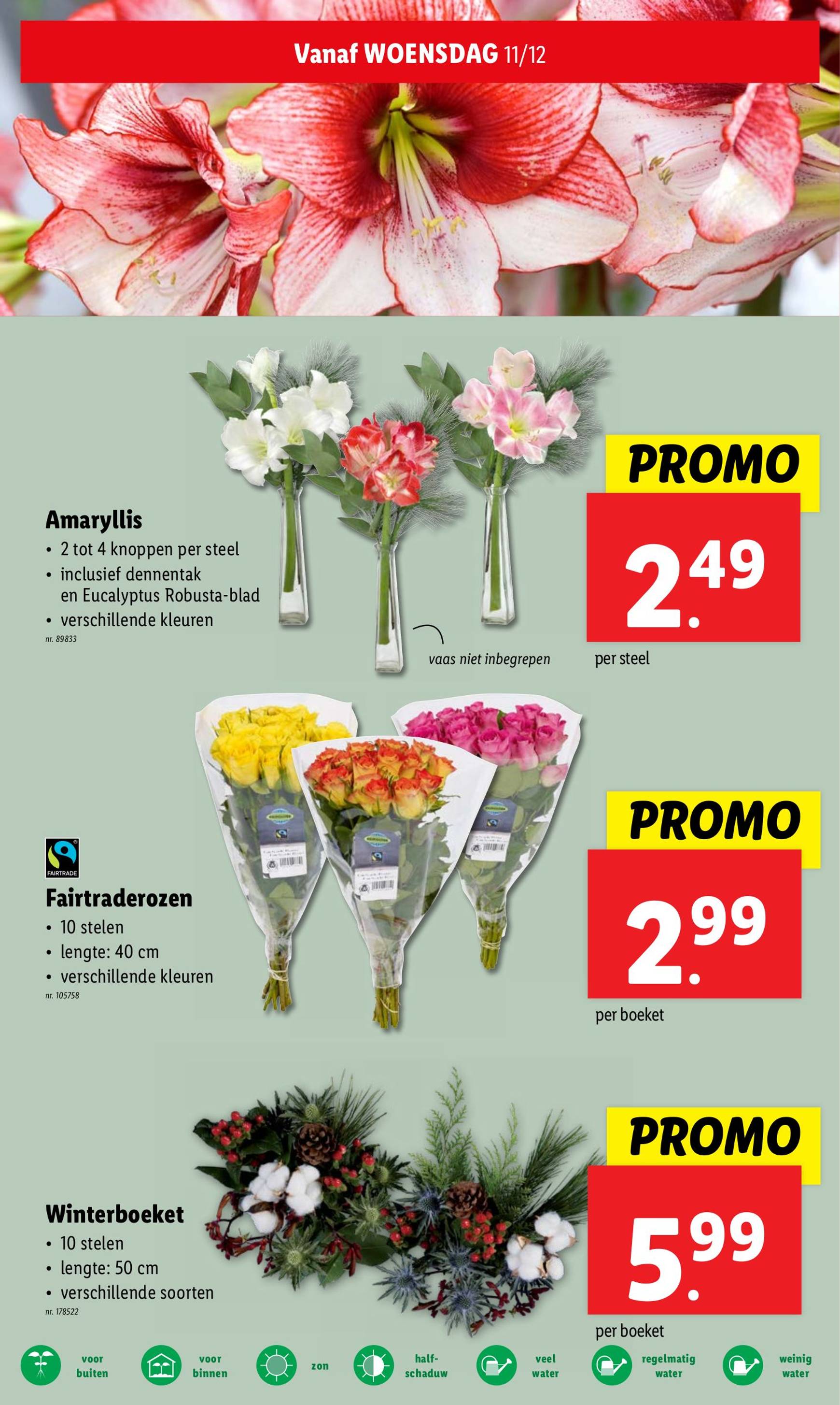 lidl - Lidl folder geldig vanaf 11/12 - 17/12 - page: 36